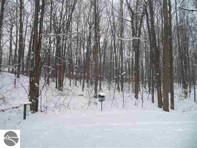559 Bass Lake Road Traverse City, MI 49685 - Photo 11 of 41 1742212-10.JPG