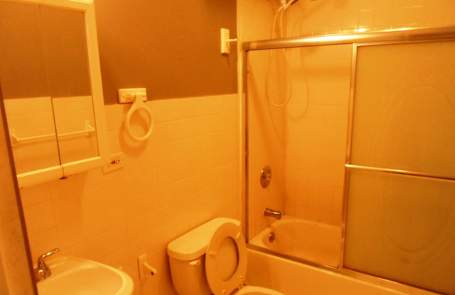 2236 West 47th Place Chicago, IL 60609 - Photo 6 of 18 a bathroom with a shower