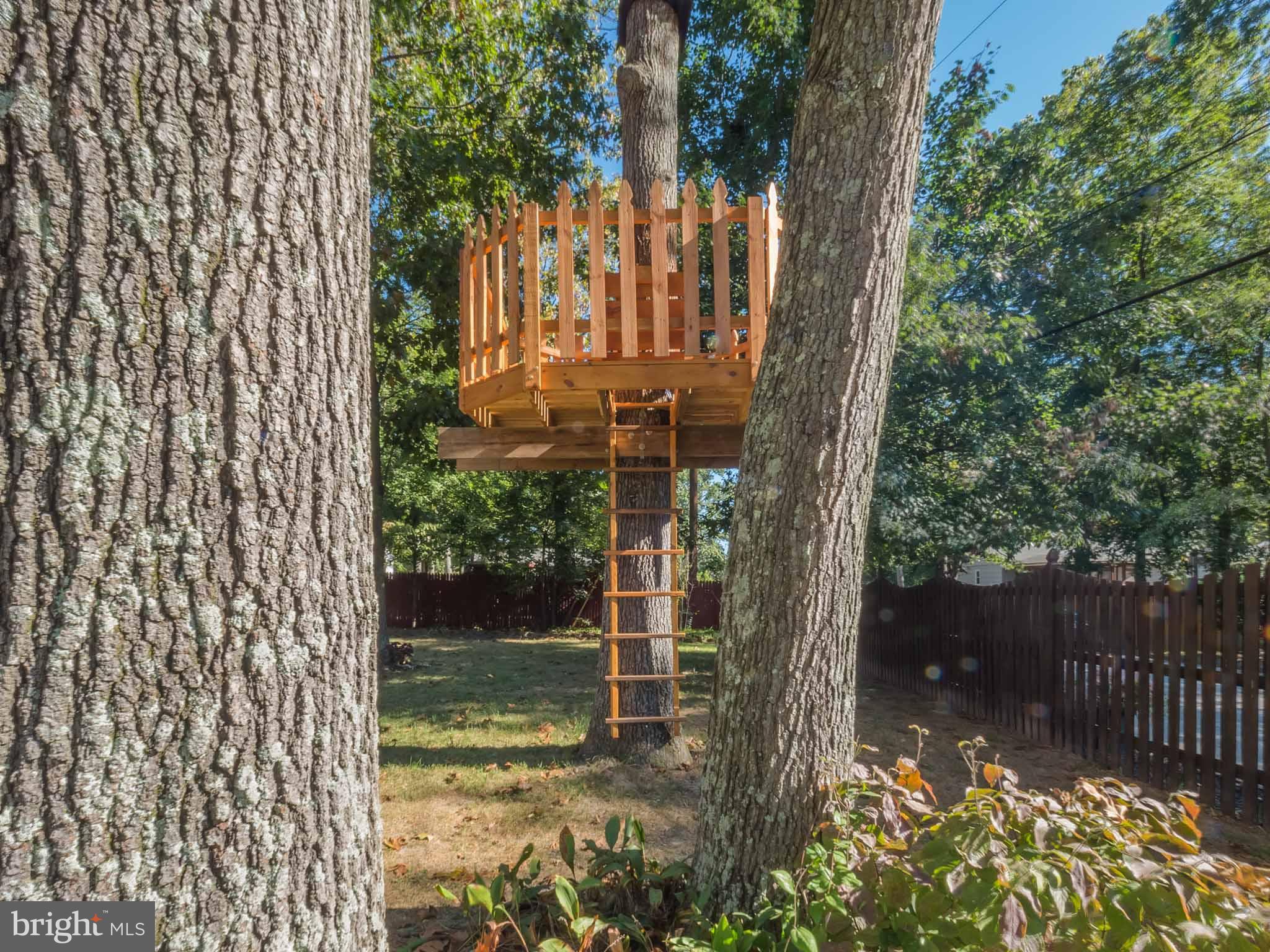 814 Danza Road Severn, MD 21144 - Photo 9 of 30 Tree house for your pirates.