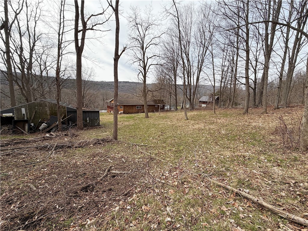 7731 North Main Street Springwater, NY 14560 - Photo 7 of 15