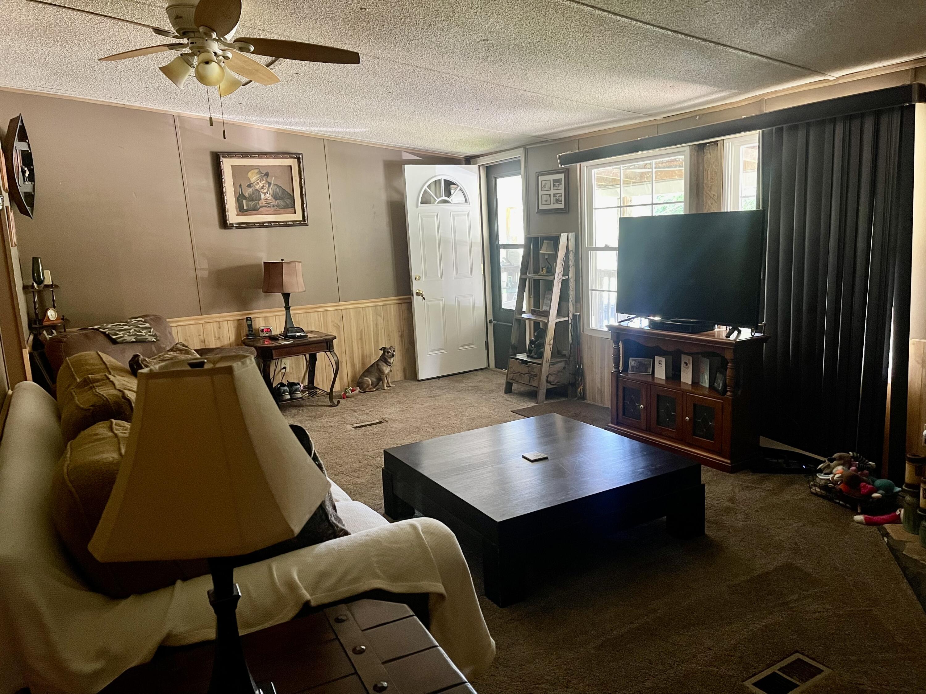 166 Verl Street Road Hampton, TN 37658 - Photo 9 of 42 4CEBDB64-DFC6-45F2-9F68-55DB7E49562F