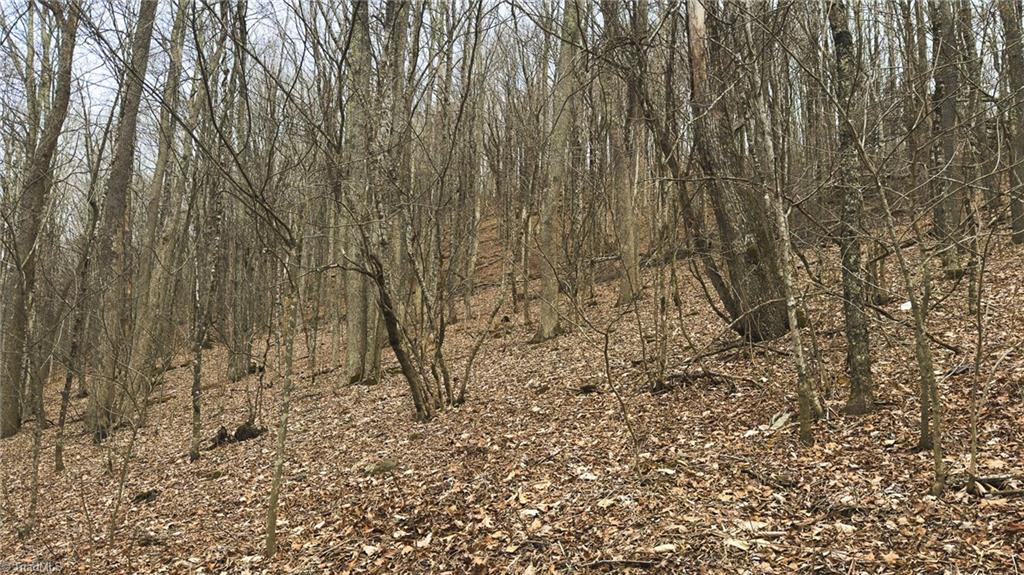 Tbd Tater Hill Road Zionville, NC 28698 - Photo 15 of 27