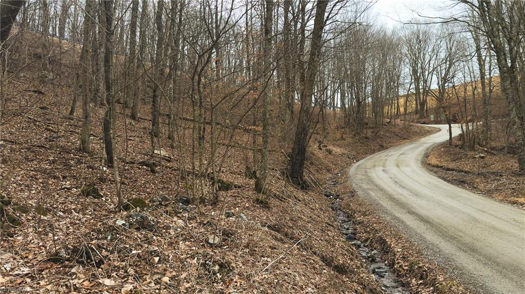 Tbd Tater Hill Road Zionville, NC 28698 - Photo 16 of 27