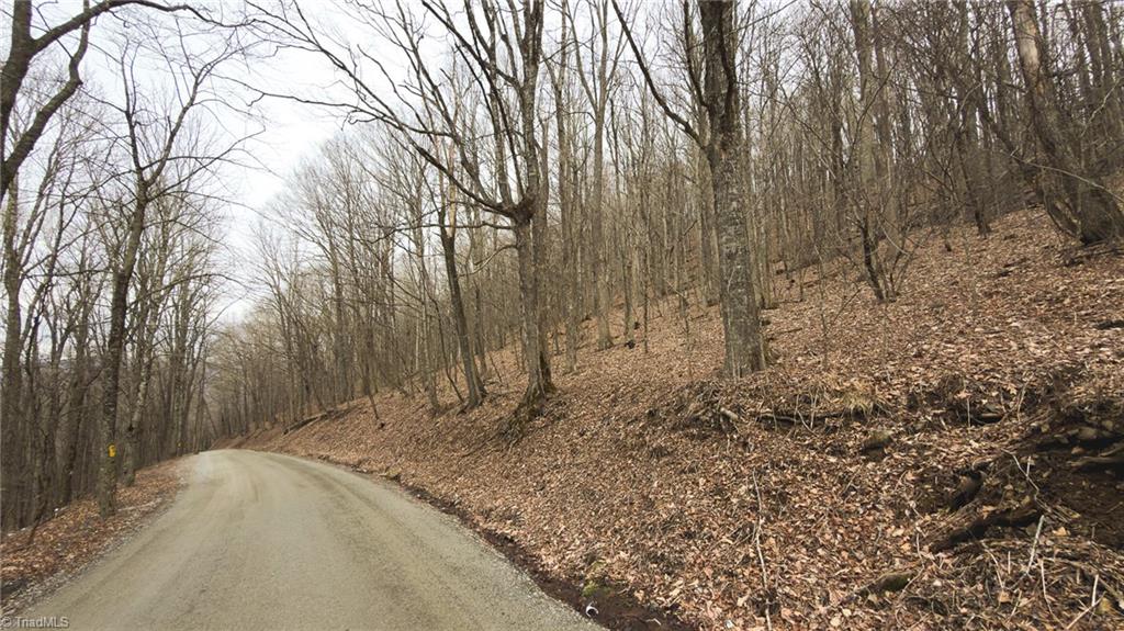 Tbd Tater Hill Road Zionville, NC 28698 - Photo 17 of 27
