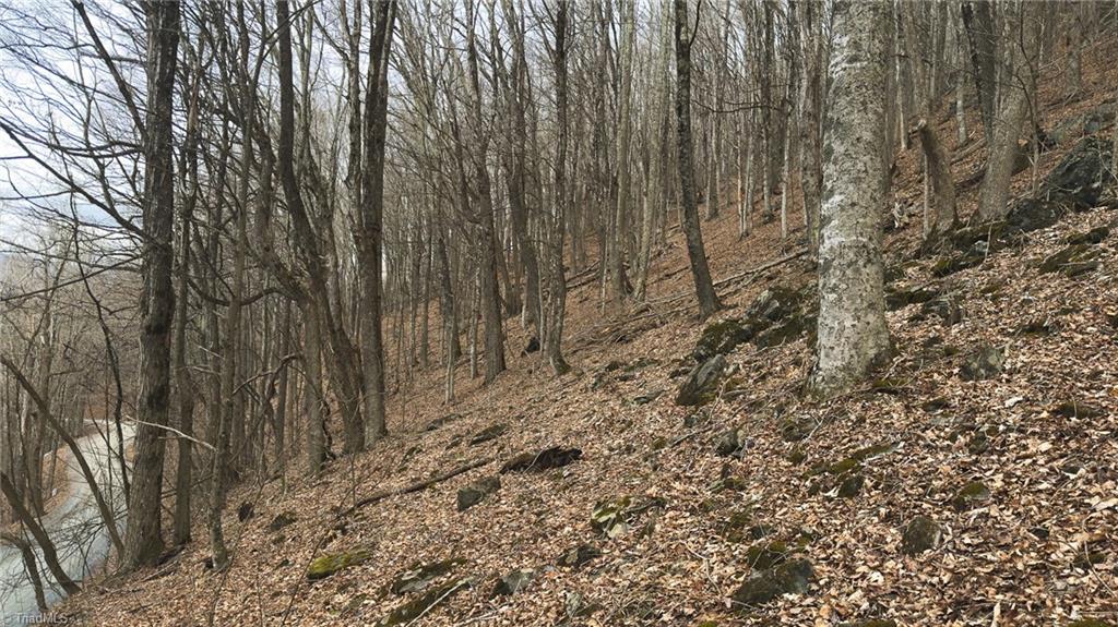 Tbd Tater Hill Road Zionville, NC 28698 - Photo 20 of 27