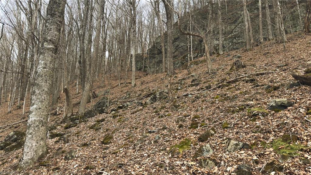 Tbd Tater Hill Road Zionville, NC 28698 - Photo 21 of 27