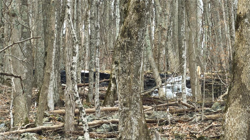 Tbd Tater Hill Road Zionville, NC 28698 - Photo 22 of 27