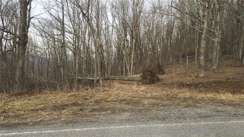 Tbd Tater Hill Road Zionville, NC 28698 - Photo 23 of 27