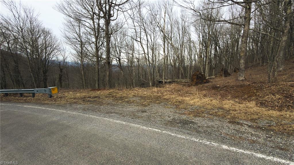 Tbd Tater Hill Road Zionville, NC 28698 - Photo 24 of 27