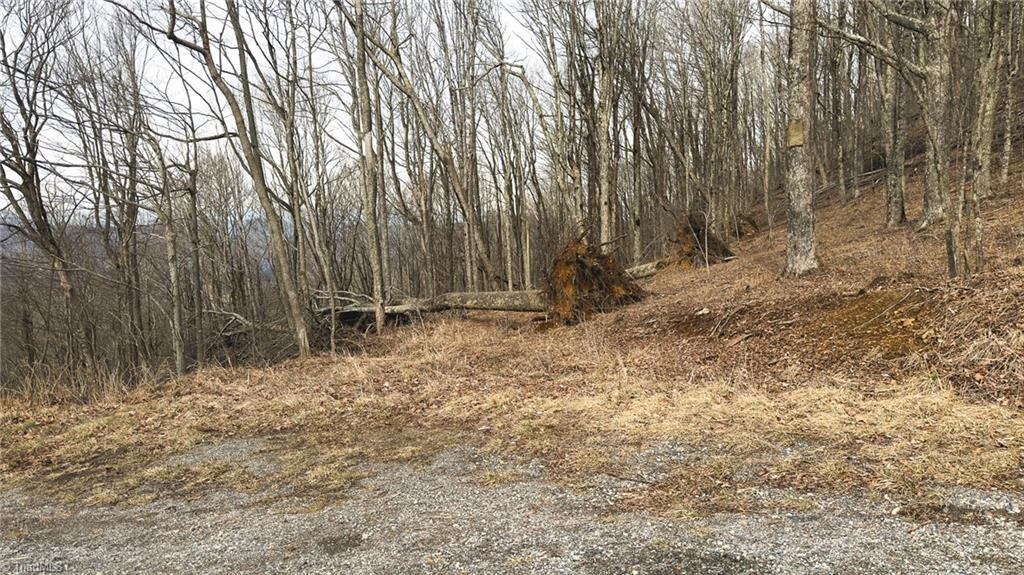 Tbd Tater Hill Road Zionville, NC 28698 - Photo 25 of 27