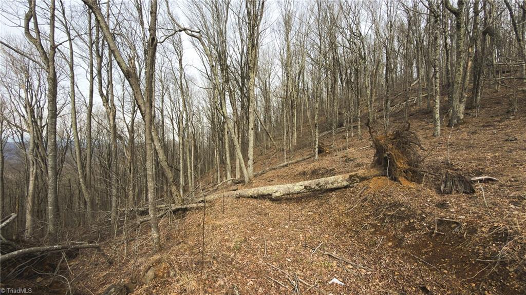 Tbd Tater Hill Road Zionville, NC 28698 - Photo 26 of 27
