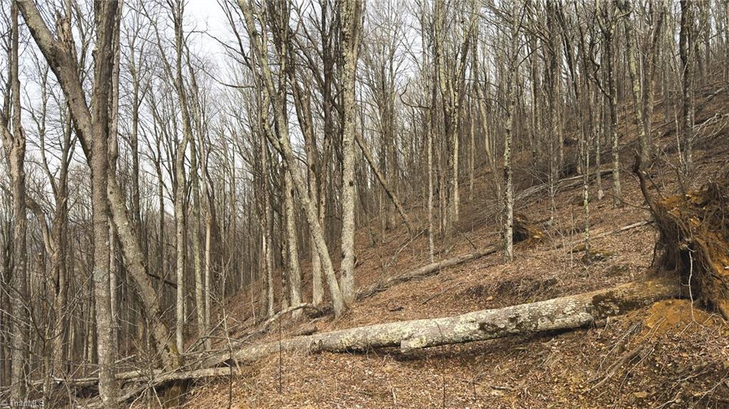 Tbd Tater Hill Road Zionville, NC 28698 - Photo 27 of 27