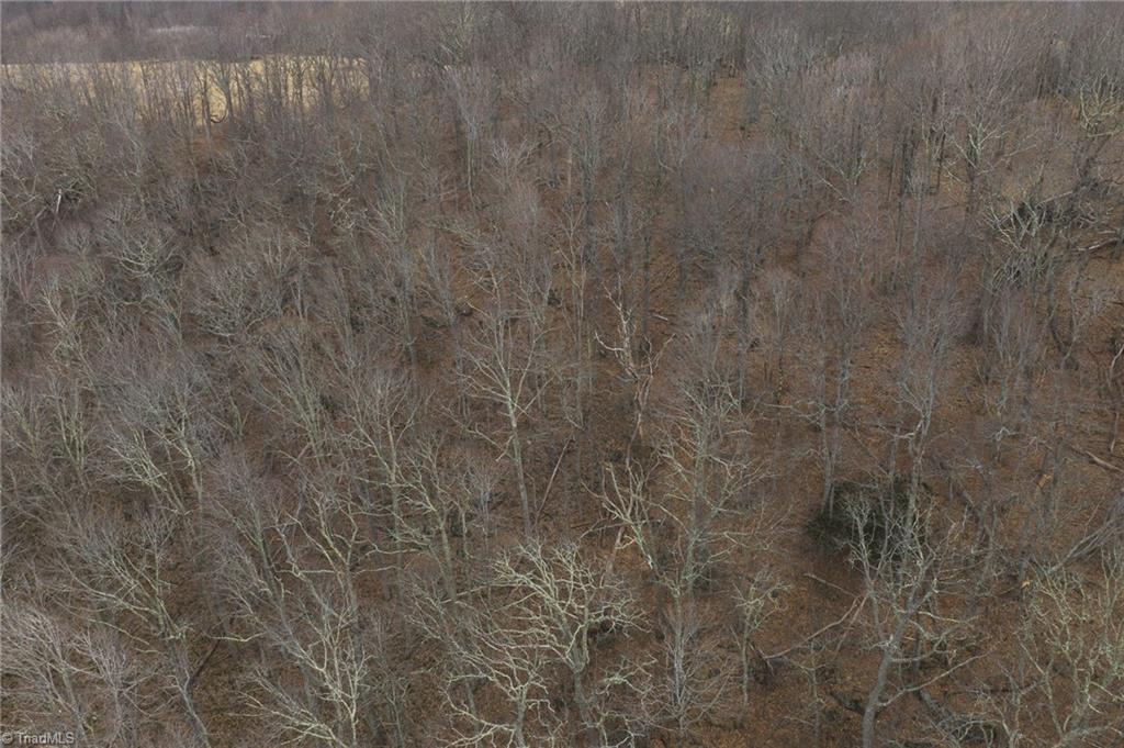 Tbd Tater Hill Road Zionville, NC 28698 - Photo 6 of 27