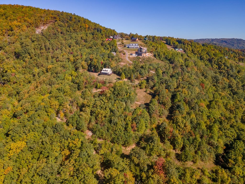 Lot 93 Reflections Point Trail, Unit 93 Fancy Gap, VA 24328 - Photo 7 of 92 Gallery Image 7