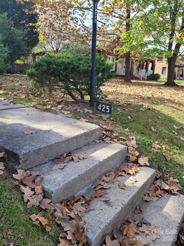 a view of a yard with plants