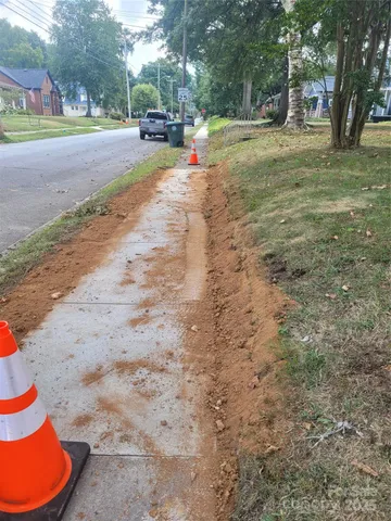 a view of a yard with plants and trees