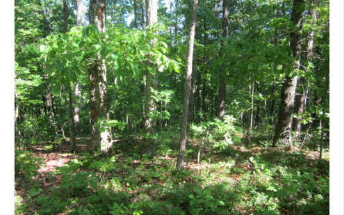 L1402 Cedar Cliffs Ranger, GA 30734 - Photo 1 of 1 Main View