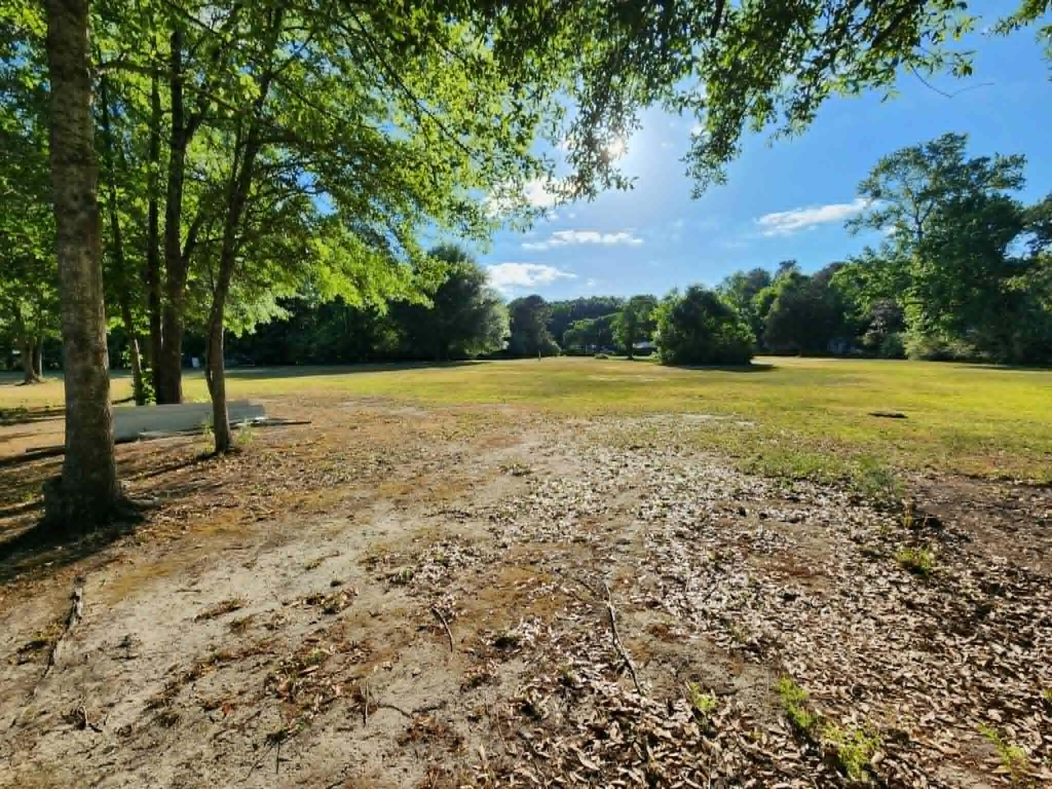 0 Cane Gully Road Moncks Corner, SC 29461 - Photo 3 of 15 Peaceful
