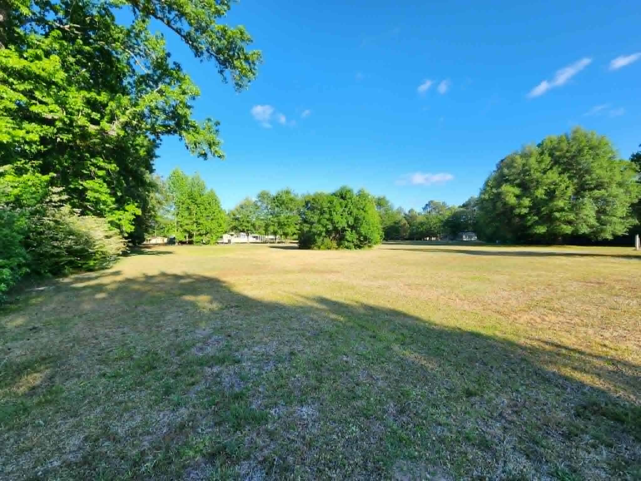 0 Cane Gully Road Moncks Corner, SC 29461 - Photo 6 of 15 Tree line left