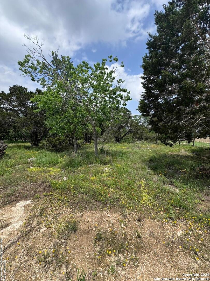 248 Wren Circle Spring Branch, TX 78070 - Photo 3 of 8 a view of a field with plants and a tree