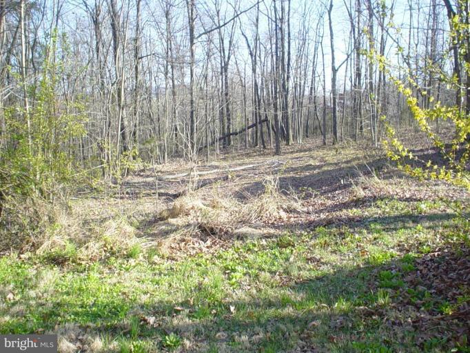 308 Aaron Mountain Road Castleton, VA 22716 - Photo 1 of 7 Wooded View / Acreage
