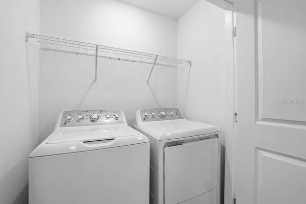 a view of a backyard with plants and large tree