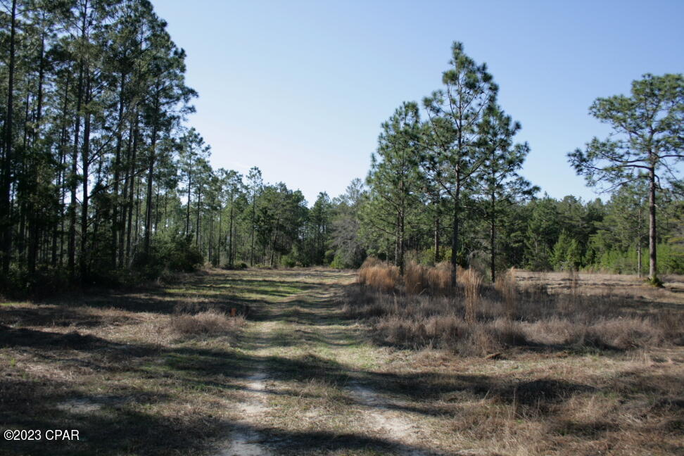 19732 Timbercrest Road Fountain, FL 32438 - Photo 33 of 40
