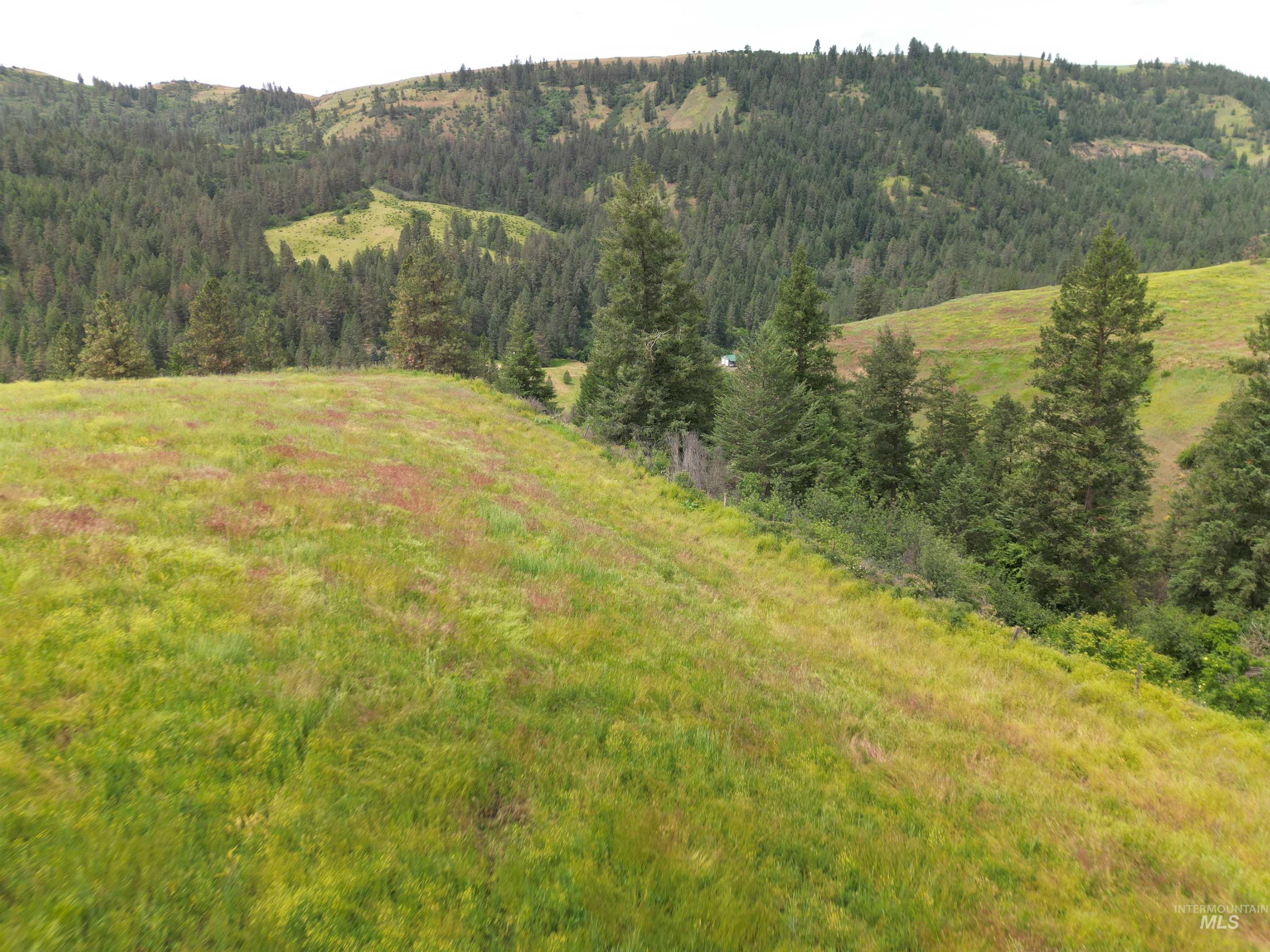 0 American Ridge Road Kendrick, ID 83537 - Photo 18 of 21