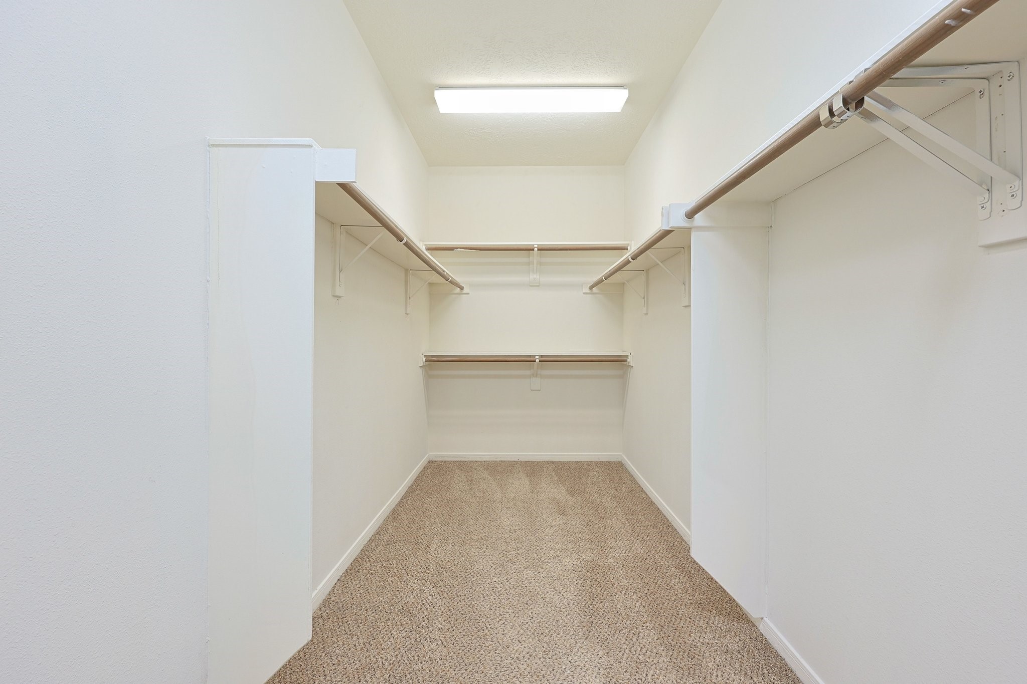 23019 Eastgate Village Drive Spring, TX 77373 - Photo 36 of 46 Spacious walk-in closet with ample shelving and hanging space, carpeted flooring, and bright lighting.for bedroom 3