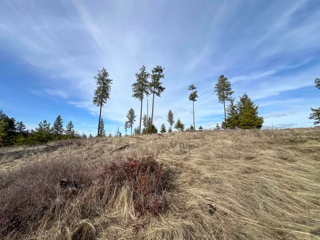 $165,000 | 35-xx 35-xx Harms Way Valley, Valley, WA 99181