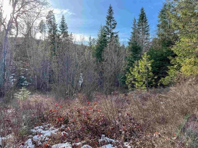 $165,000 | 35-xx 35-xx Harms Way Valley, Valley, WA 99181