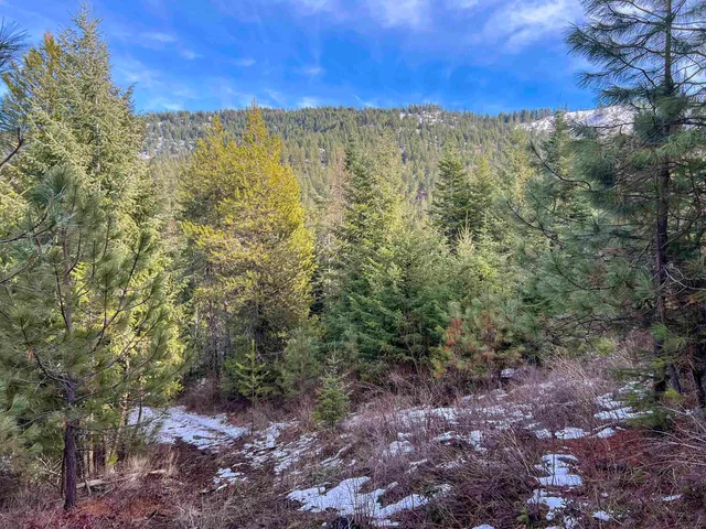 $165,000 | 35-xx 35-xx Harms Way Valley, Valley, WA 99181