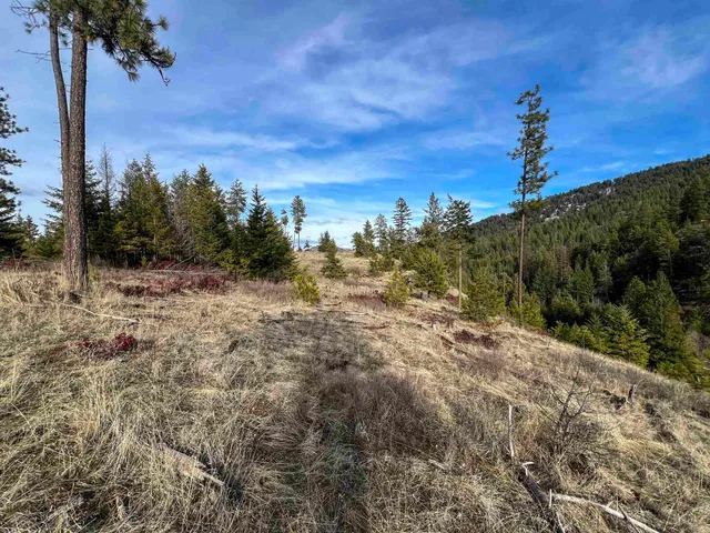 $165,000 | 35-xx 35-xx Harms Way Valley, Valley, WA 99181