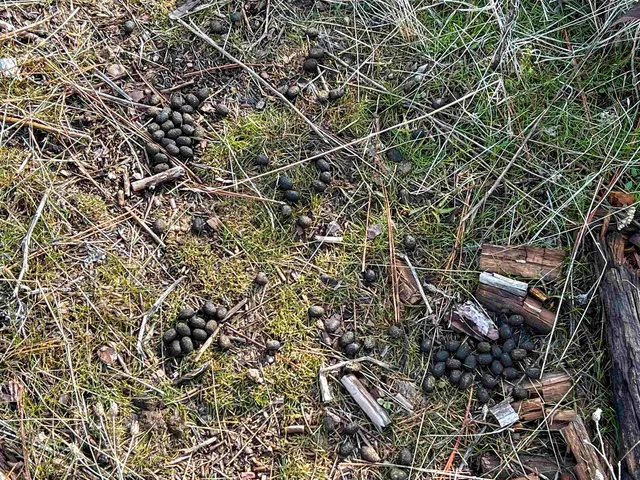 $165,000 | 35-xx 35-xx Harms Way Valley, Valley, WA 99181