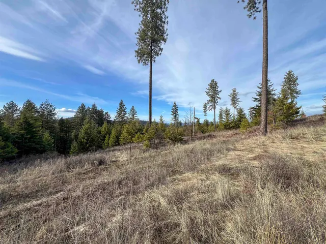 $165,000 | 35-xx 35-xx Harms Way Valley, Valley, WA 99181