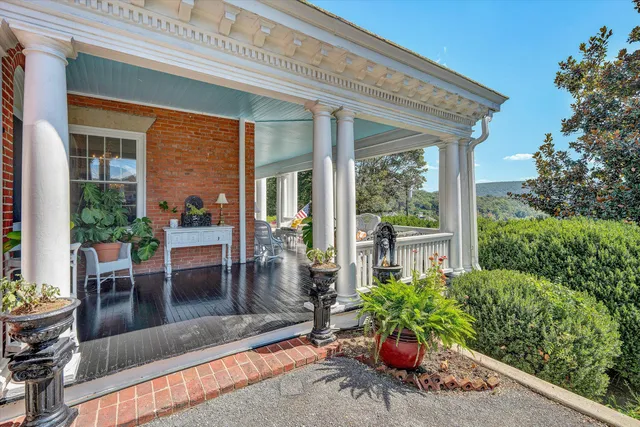 a view of a livingroom with furniture window and wooden floor