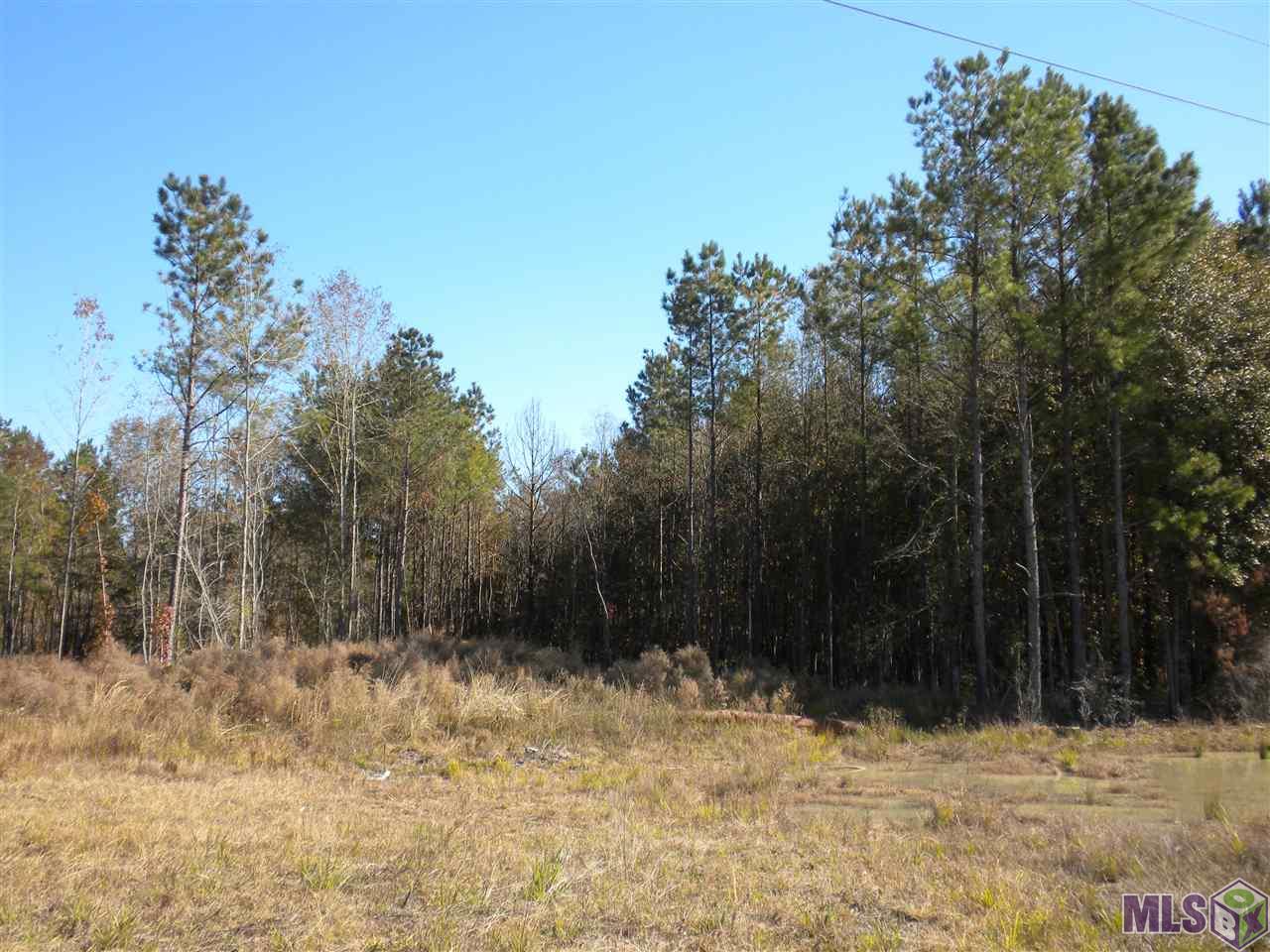 Tbd - E Old Frost Road Livingston, LA 70754 - Photo 1 of 1 Gallery Image 1