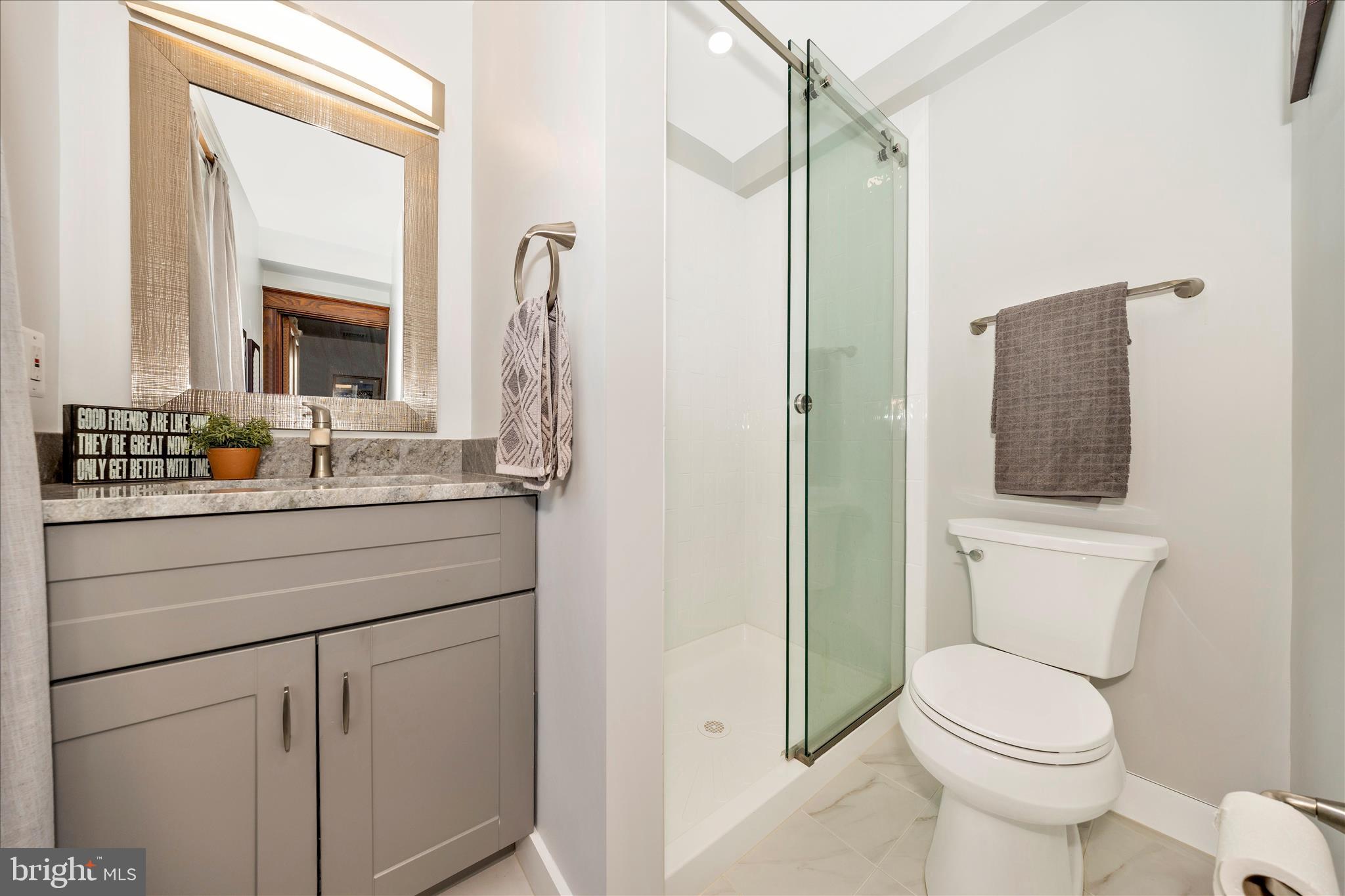 706 East Main Street Middletown, MD 21769 - Photo 25 of 63 a bathroom with a toilet a sink and a mirror