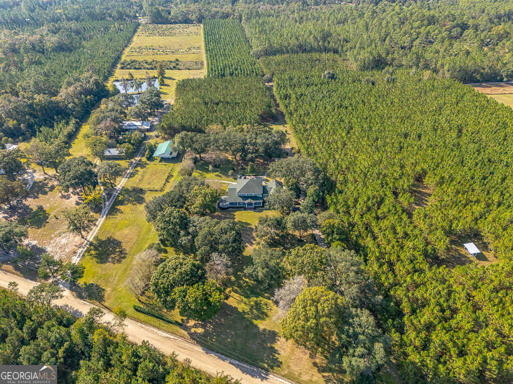 300 Elliott Road Waynesville, GA 31566 - Photo 68 of 89 a aerial view of a house with a yard