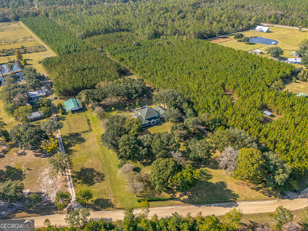 300 Elliott Road Waynesville, GA 31566 - Photo 69 of 89 a view of a lake with a yard