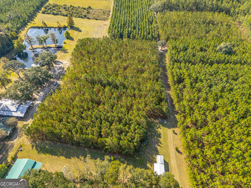 300 Elliott Road Waynesville, GA 31566 - Photo 73 of 89