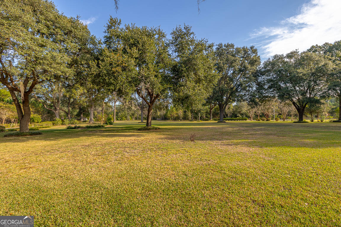 300 Elliott Road Waynesville, GA 31566 - Photo 85 of 89