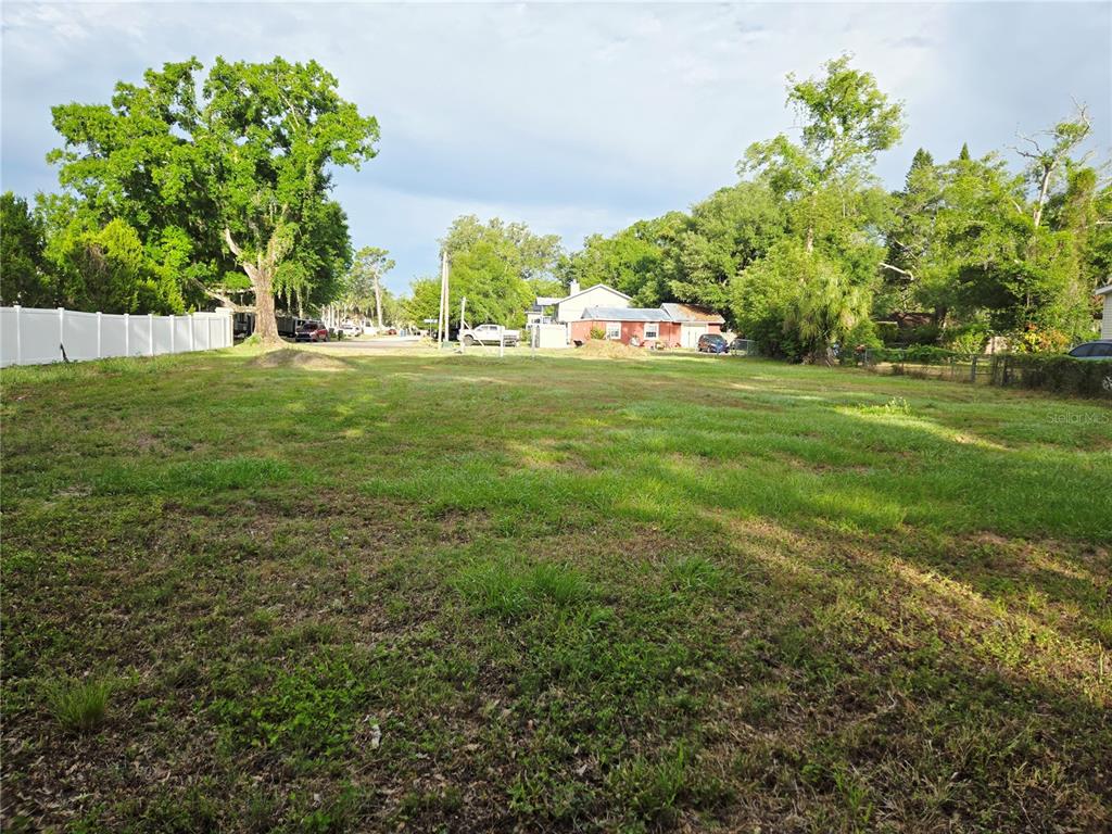 14701 Del Valle Road Tampa, FL 33625 - Photo 4 of 4 a view of green field
