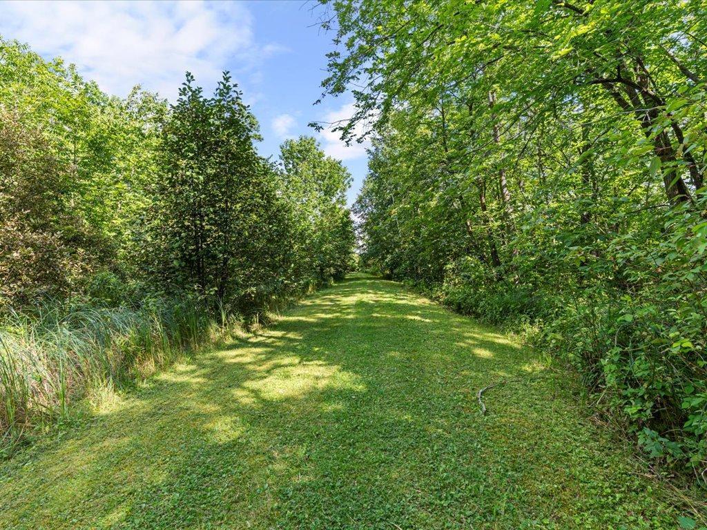 13893 County Road 116 Merrifield, MN 56465 - Photo 12 of 23