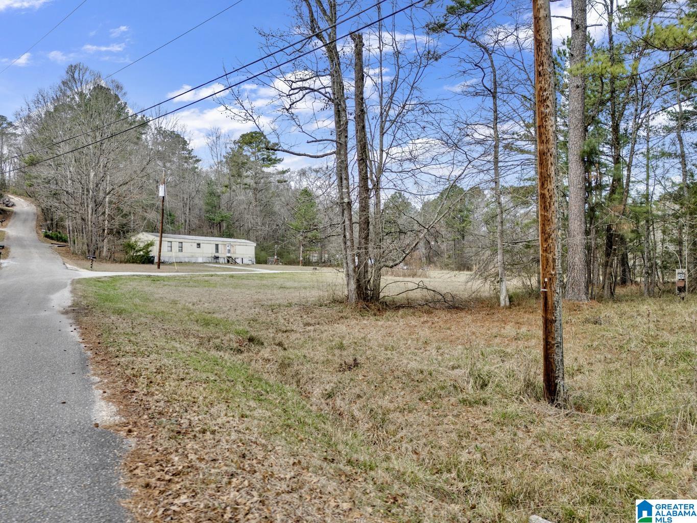 1383 Camp Branch Road, Unit 1 Alabaster, AL 35007 - Photo 3 of 20