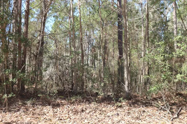 $50,000 | 6-2 North N Highway, Onalaska, TX 77360