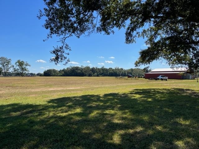 Bull Springs Road Robertsdale, AL 36567 - Photo 27 of 28