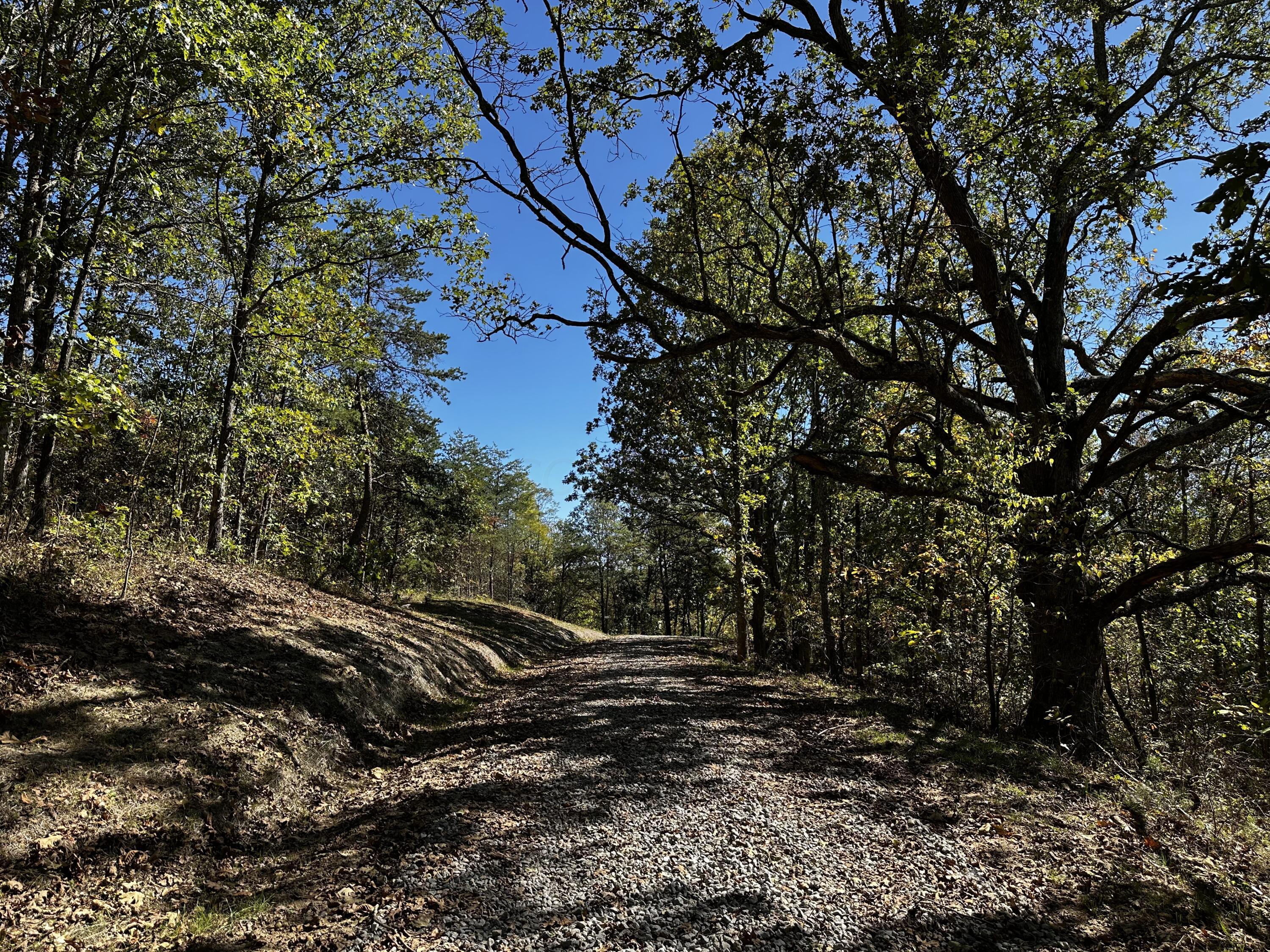 865 Hull Road, Unit TRACT 13 WOODS WAYNE FOREST) Patriot, OH 45658 - Photo 17 of 57 20241008_174820210_iOS