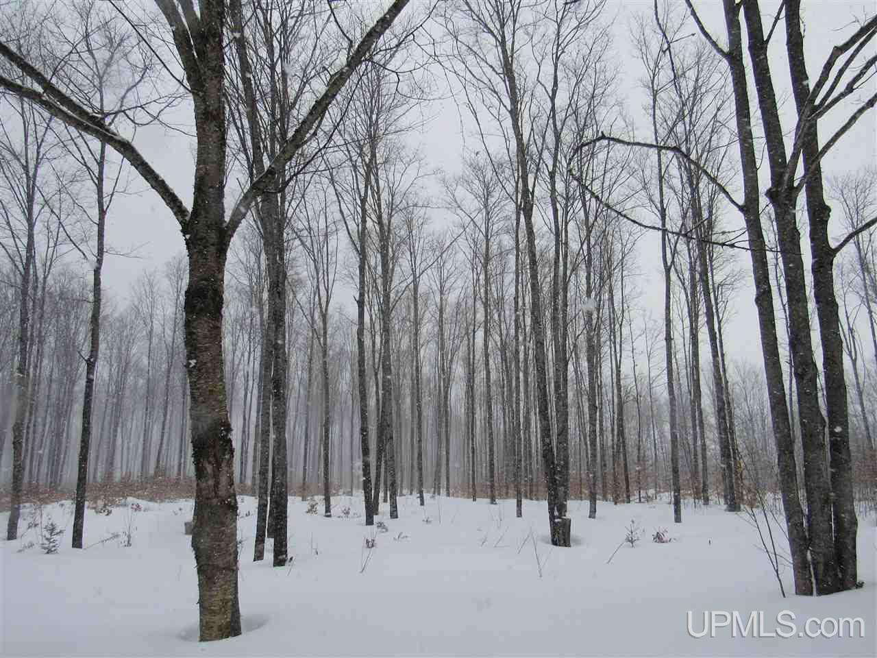 11998 Roy Wright Road Shingleton, MI 49884 - Photo 19 of 36