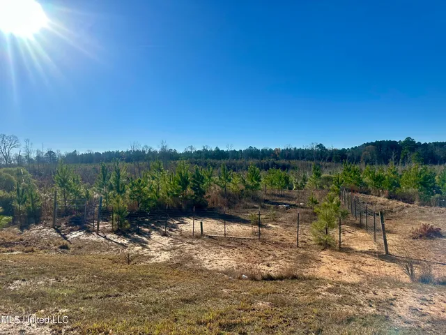 $528,000 | 3438 Attala Road 3027, Kosciusko, MS 39090